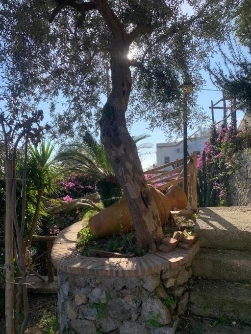 Villa Hermosa Costiera Amalfitana 외부 사진